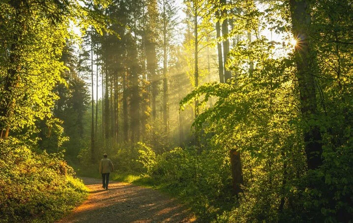 Rustomjee Crown Forest Walk
